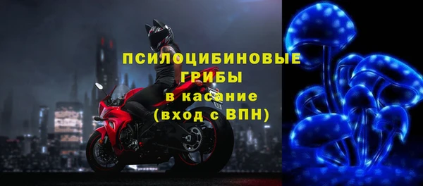 spice Горняк