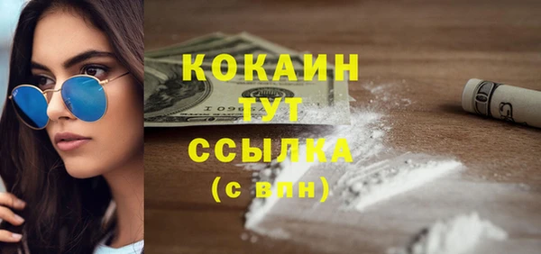 spice Горняк