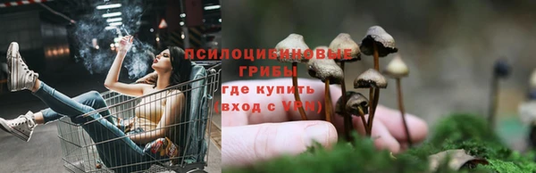 герыч Горнозаводск