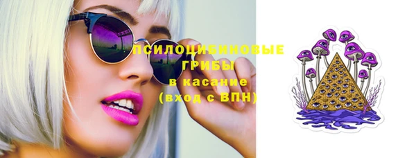 spice Горняк