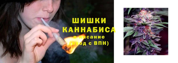 spice Горняк