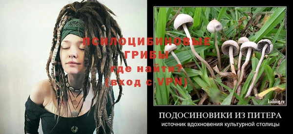 герыч Горнозаводск