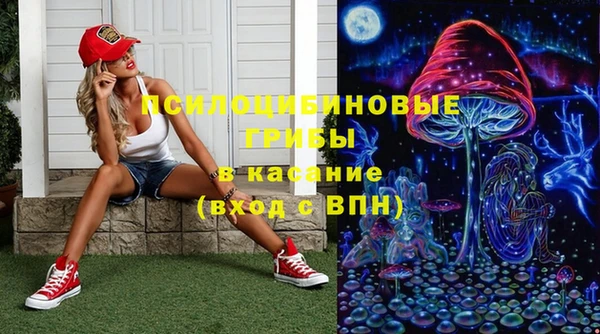 прущая мука Горно-Алтайск
