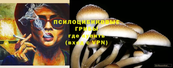 прущая мука Горно-Алтайск